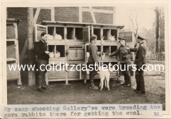 18 Colditz Outer Camp Rabbits